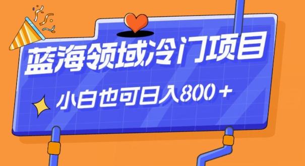 蓝海领域冷门赛道，一单39.9，日入800＋-川融创客