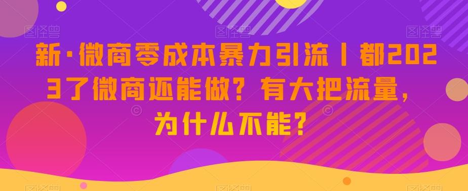 新·微商零成本暴力引流丨都2023了微商还能做？有大把流量，为什么不能？-川融创客