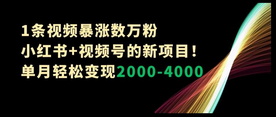 1条视频暴涨数万粉--小红书+视频号的新项目！单月轻松变现2000-4000【揭秘】-川融创客