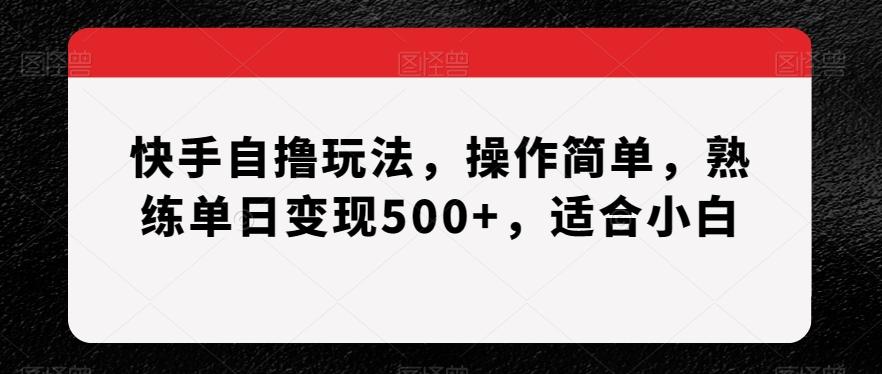 快手自撸玩法，操作简单，熟练单日变现500+，适合小白【揭秘】-川融创客