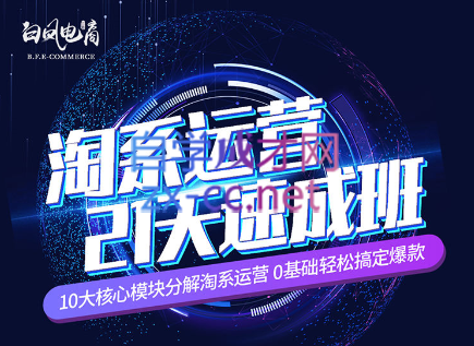 淘系运营21天速成班(更新24年5月)-川融创客