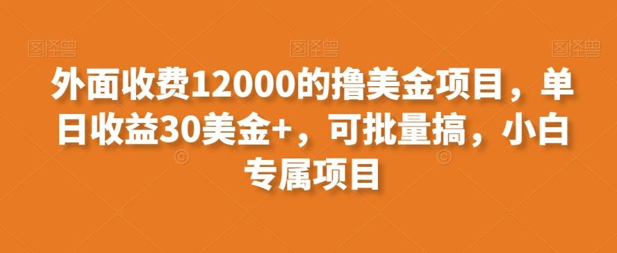 外面收费12000的撸美金项目，单日收益30美金+，可批量搞，小白专属项目-川融创客