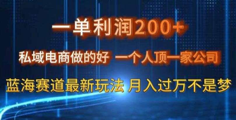 一单利润200私域电商做的好，一个人顶一家公司蓝海赛道最新玩法【揭秘】-川融创客