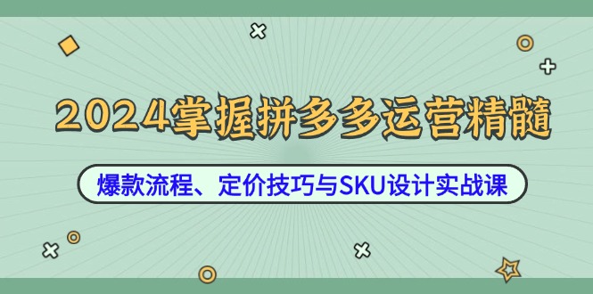 2024掌握拼多多运营精髓：爆款流程、定价技巧与SKU设计实战课-川融创客