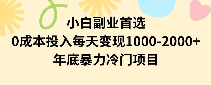 小白副业首选，0成本投入，每天变现1000-2000年底暴力冷门项目【揭秘】-川融创客