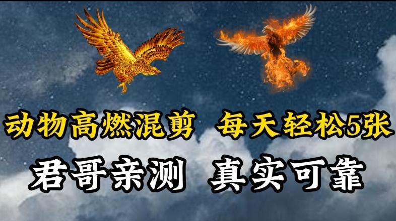 动物超燃混剪，每天轻松5张，剪辑简单大家爱看【揭秘】-川融创客