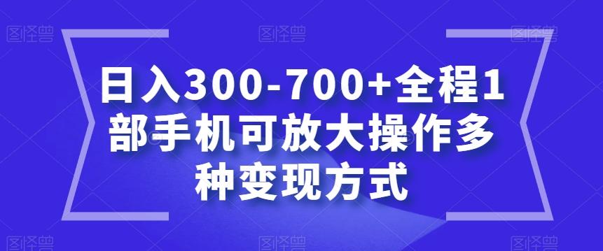 日入300-700+全程1部手机可放大操作多种变现方式【揭秘】-川融创客