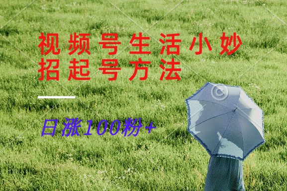 视频号生活小妙招分享赛道， 起号涨粉新方法，日涨100粉-川融创客