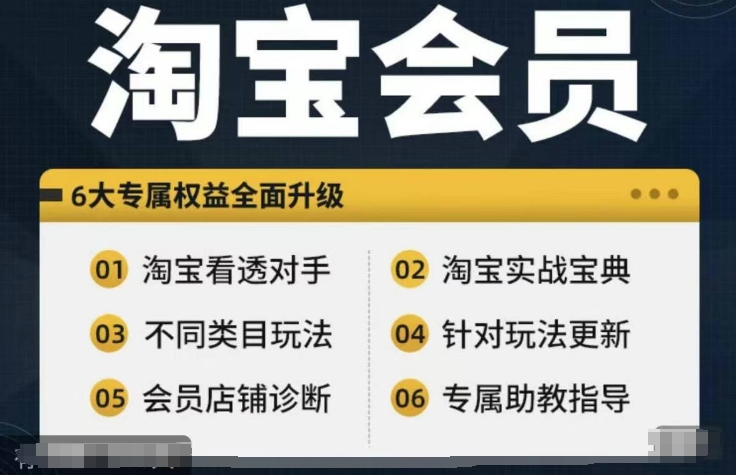 淘宝会员【淘宝所有课程，全面分析对手】，初级到高手全系实战宝典-川融创客