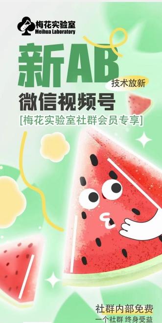 梅花实验室2024年AB技术视频号AB合成破解版-川融创客