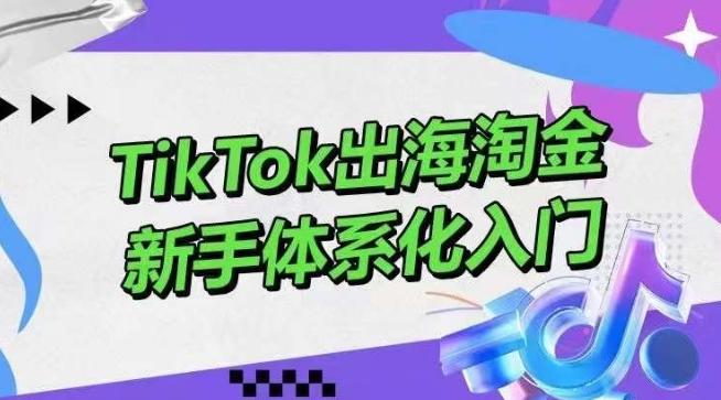 TikTok出海淘金,新手体系化入门,零基础快速入门,掌握短视频、直播带货等引流到变现的知识