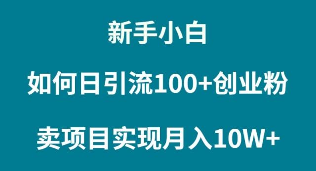(9556期)新手小白如何通过卖项目实现月入10W+-川融创客
