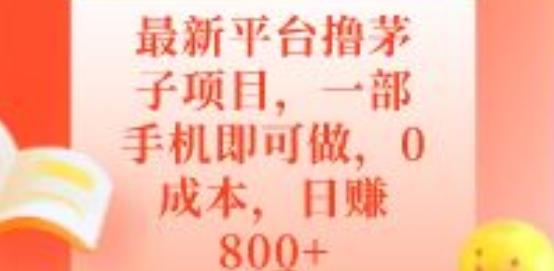 最新平台撸茅子项目，一部手机即可做，0成本，日赚800+-川融创客