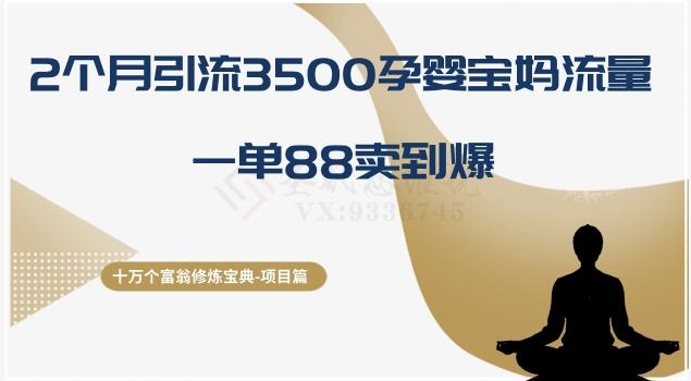 十万个富翁修炼宝典之13.2个月引流3500孕婴宝妈流量，一单88卖到爆-川融创客