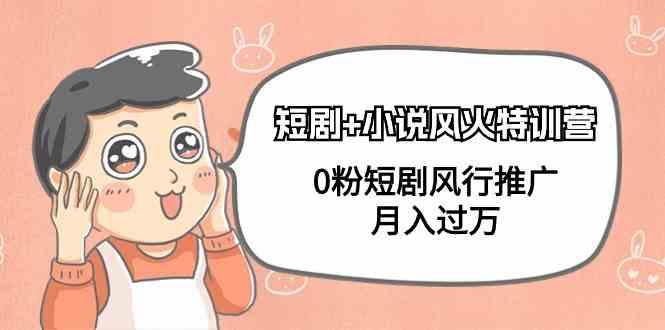 小说+短剧风火特训营，0粉短剧小说风行推广，实现月入过万-川融创客